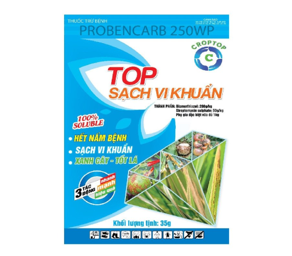 TOP - SẠCH VI KHUẨN 250 WP  35gr